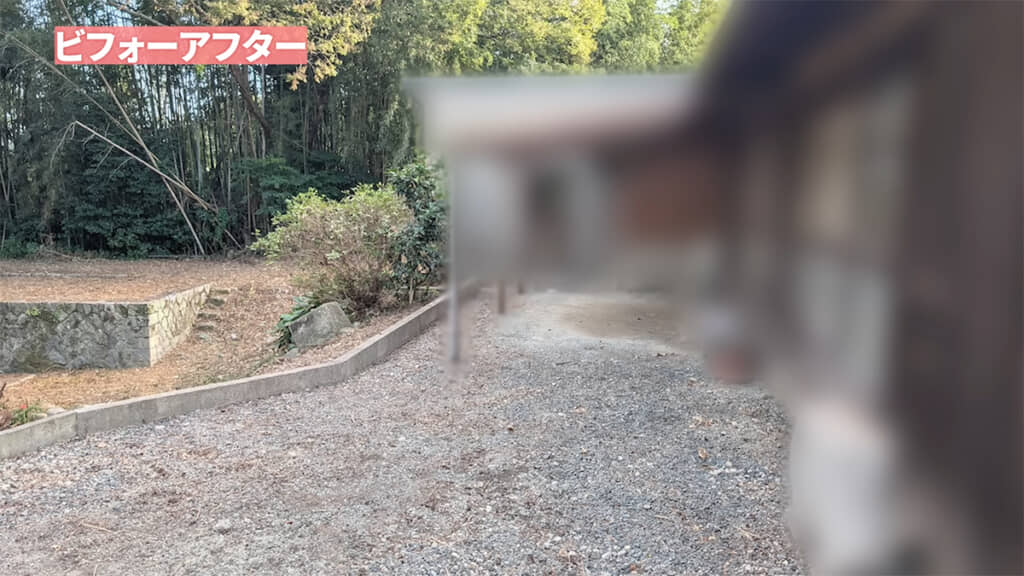 キレイな姿を取り戻しました