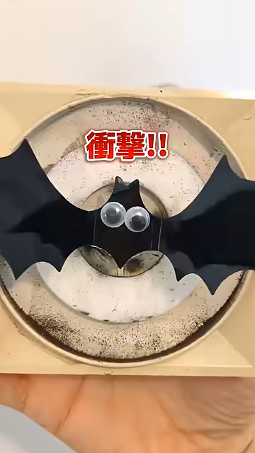 換気口にコウモリが出るかも……？