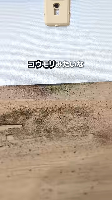 現れたのは真っ黒なホコリ！