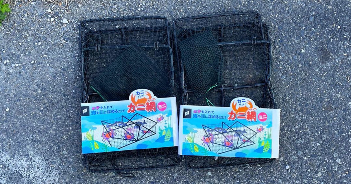 消波ブロックの隙間にカニカゴを仕掛けたら……「うそでしょ！」「声出た」　“想像を絶する結果”に大反響から1年、投稿者に話を聞いた（1/3） | その他生き物 ねとらぼ
