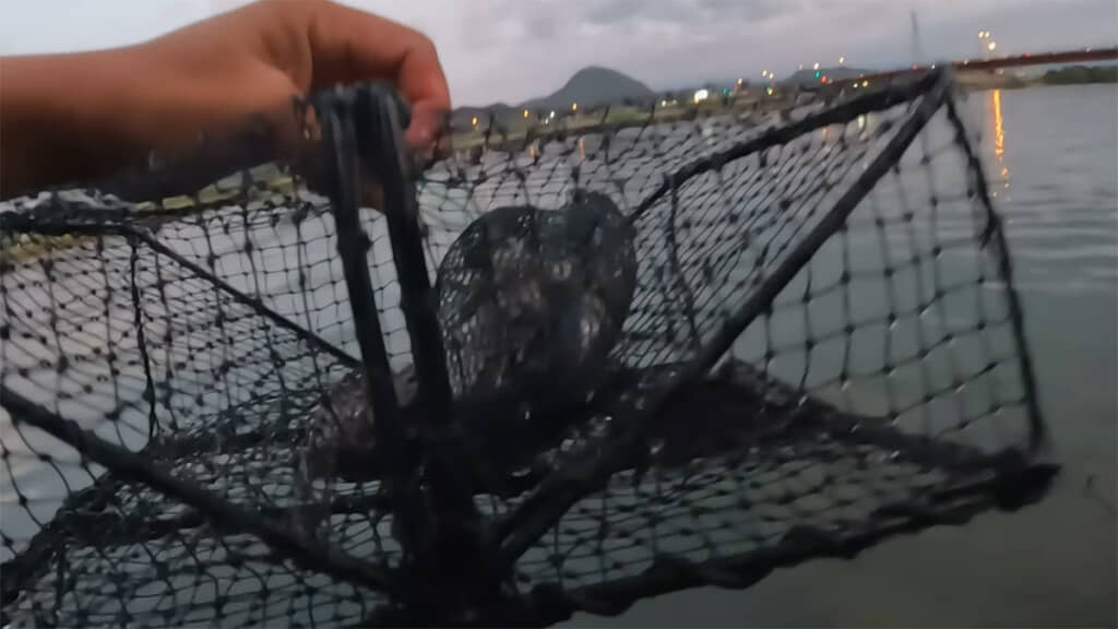 初日は何もとれませんでした