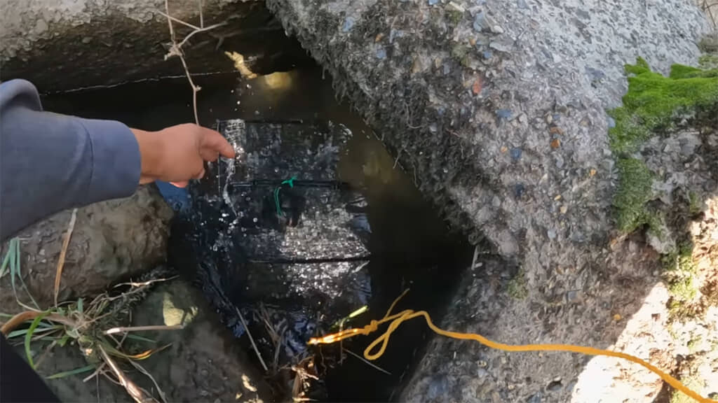 テトラの穴に大きなカニカゴを投入してみます