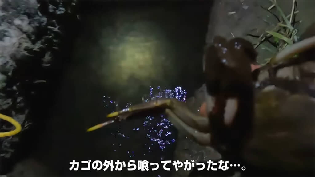 カゴの外からエサだけ食べていたカニを素手で捕獲