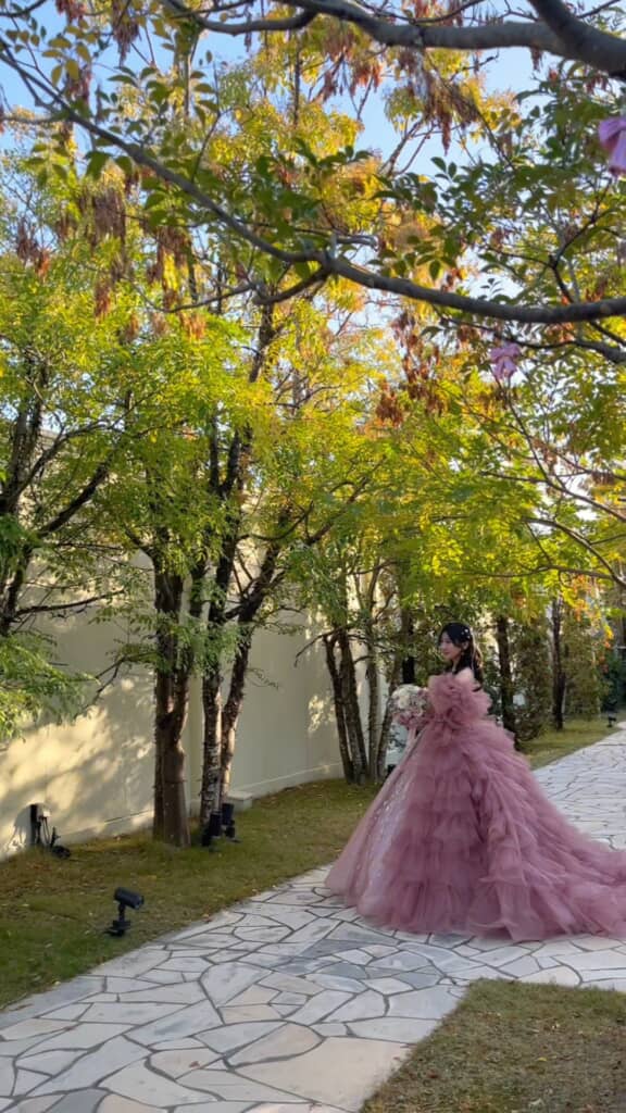 流れるようなトレーンがきれい