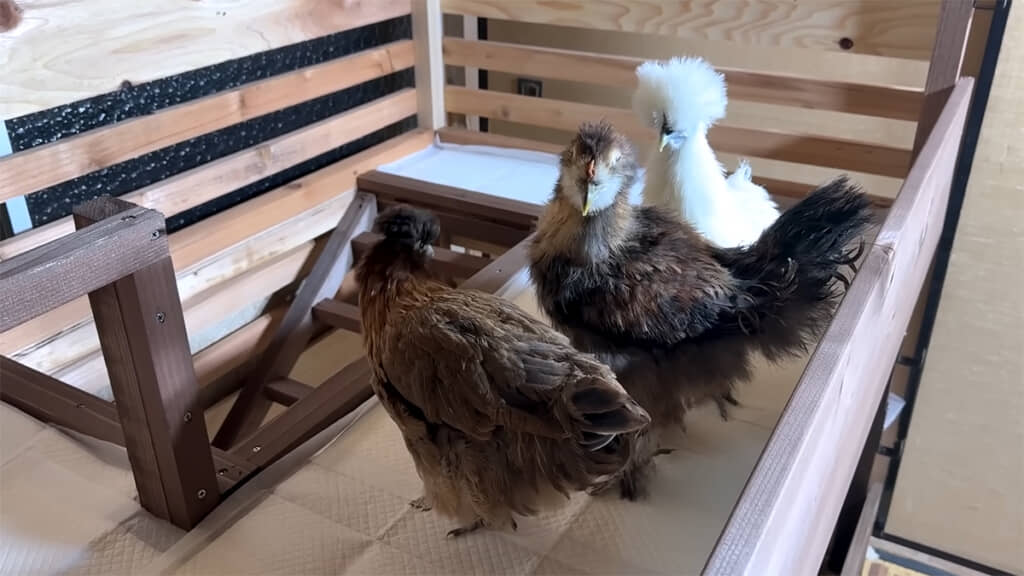 最初は警戒モードでしたが