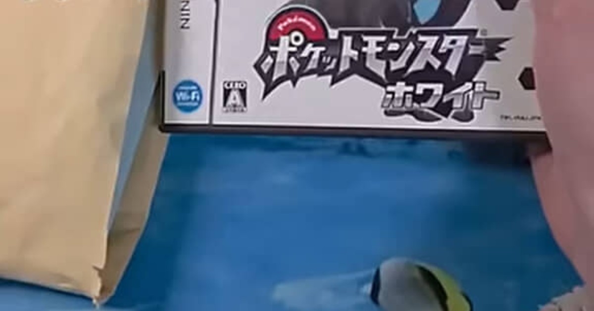 子どものころは、ワクワクしながら開けていた「ゲームのパッケージ 