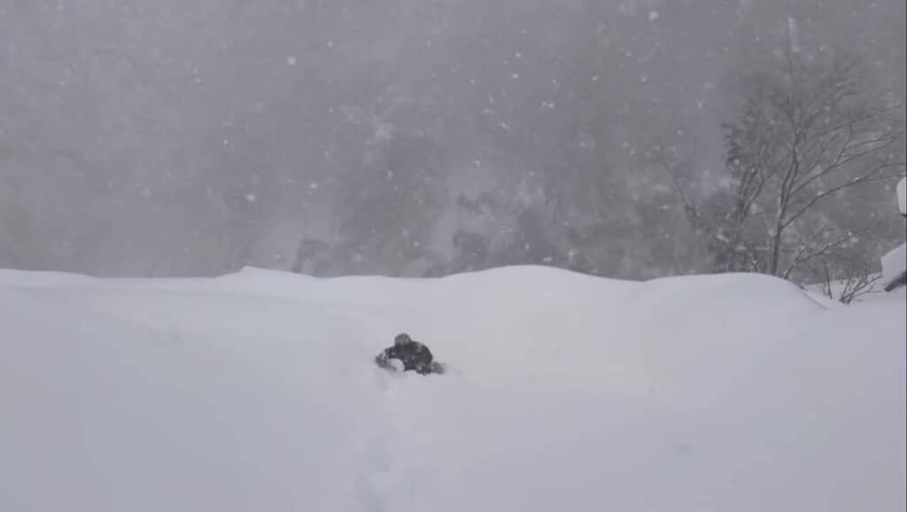 雪に埋もれている