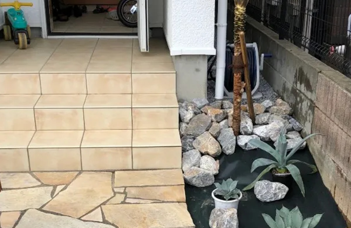 玄関そばに植えた「庭のコレ 6年でこうなった」→AI級の衝撃の光景に「ひょえー！！！」「ちょっとこれは」「吹きましたｗ」（1/3） | ライフスタイル ねとらぼ