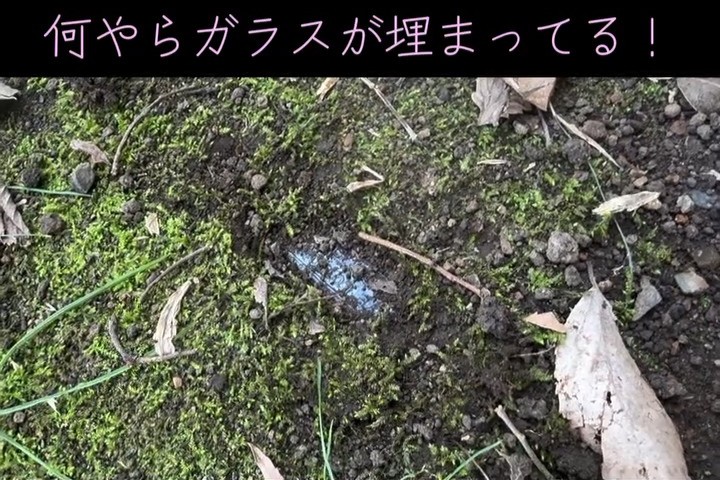 光の反射でキラキラ