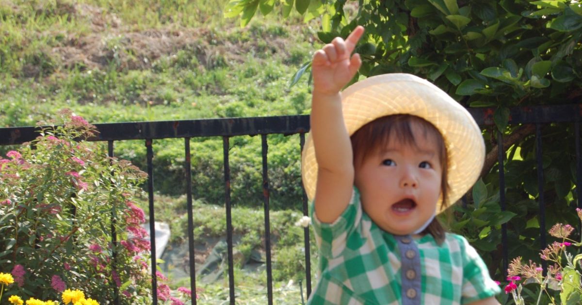 ちょうちょに驚く2歳の女の子→「うしろーっ!」まさかの“写り込み”に反響「良すぎる」「胸がいっぱい」(1/3) | 教育・子育て ねとらぼ