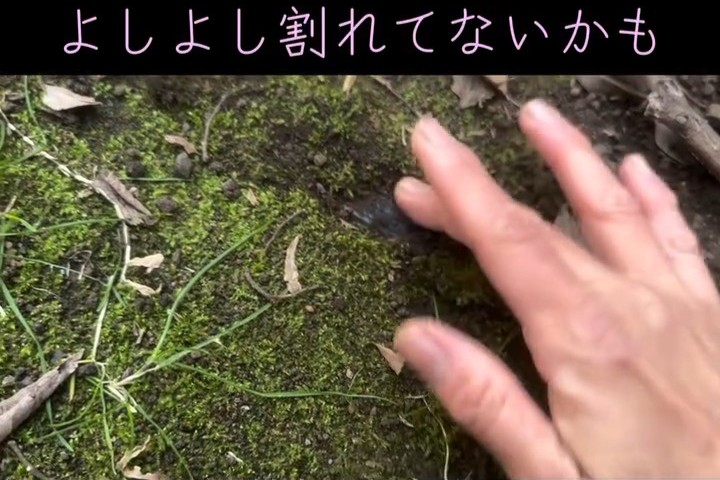 ガラスの上の土をどかす様子