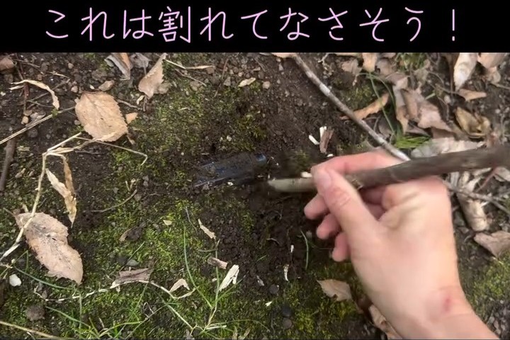 掘るときは木の枝を使用