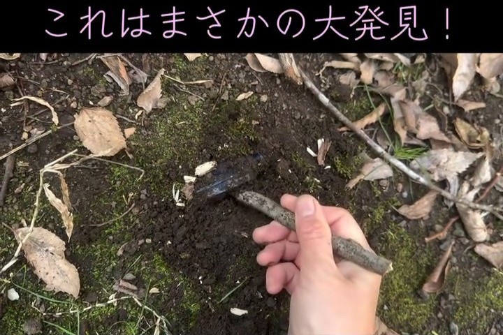 グイっと取り出すめぇちさん