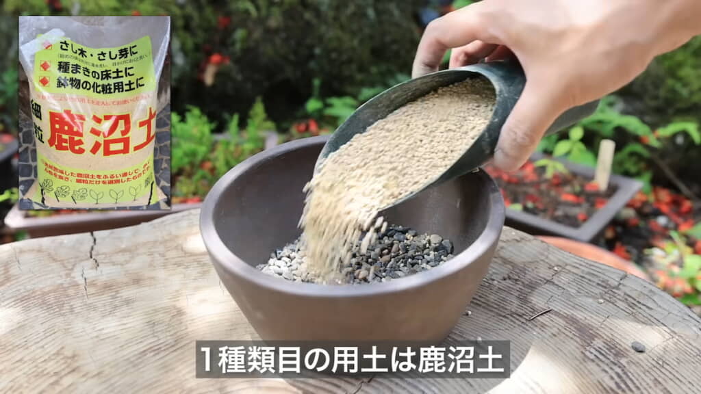 一方には鹿沼土を満たす