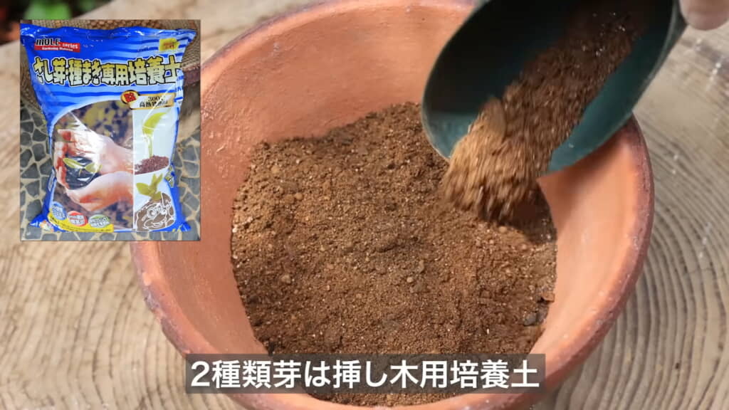 もう一方には挿し木用の培養土を満たす