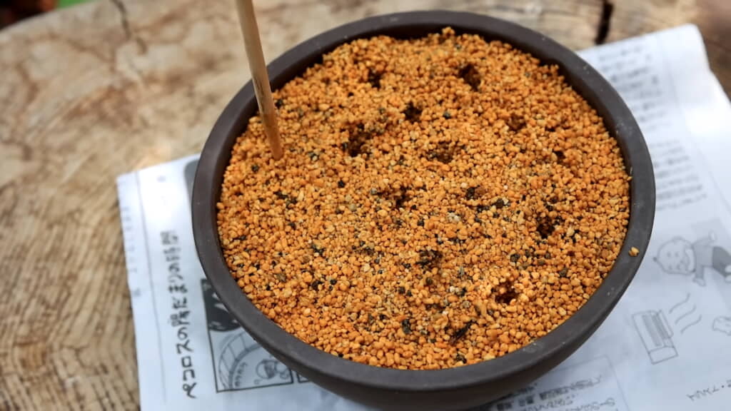 鉢の用土に穴を開ける