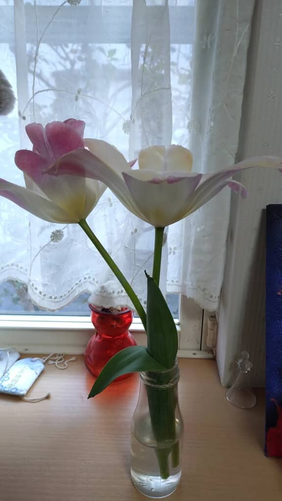 翌日に元気になりました!