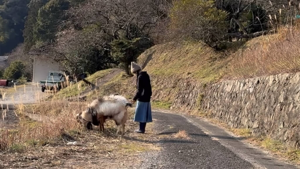 大人しくお散歩していると思ったら