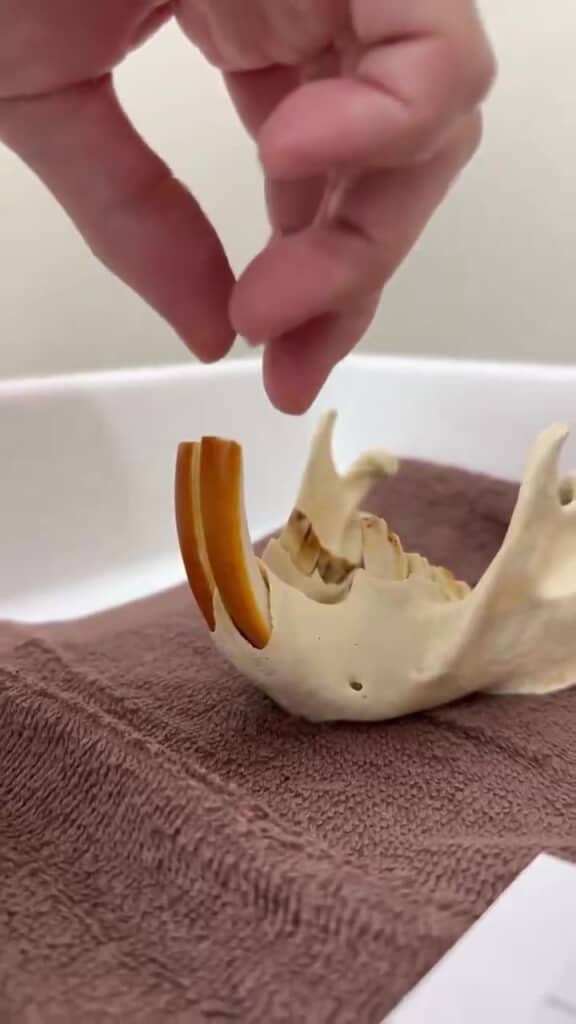 指を離すとすぐ元通りに