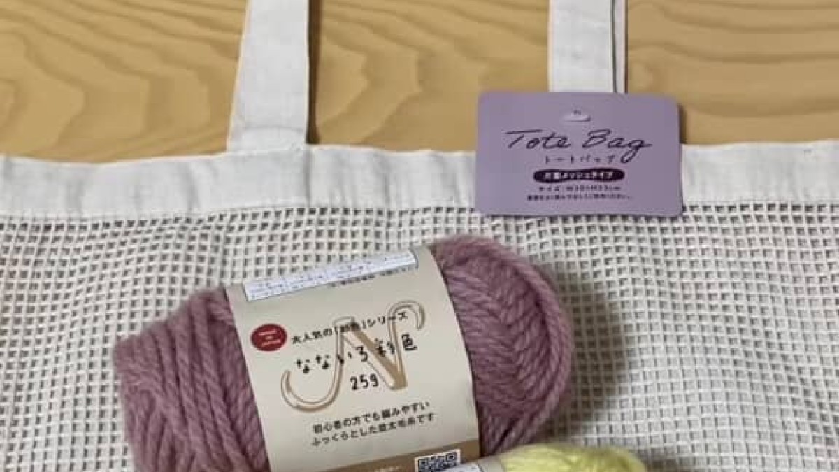 セリアのメッシュバッグに、3色の毛糸を通していくと……　“春っぽい完成品”に「もう天才」「私も作ってみたい」（1/2） | 編み物 ねとらぼ