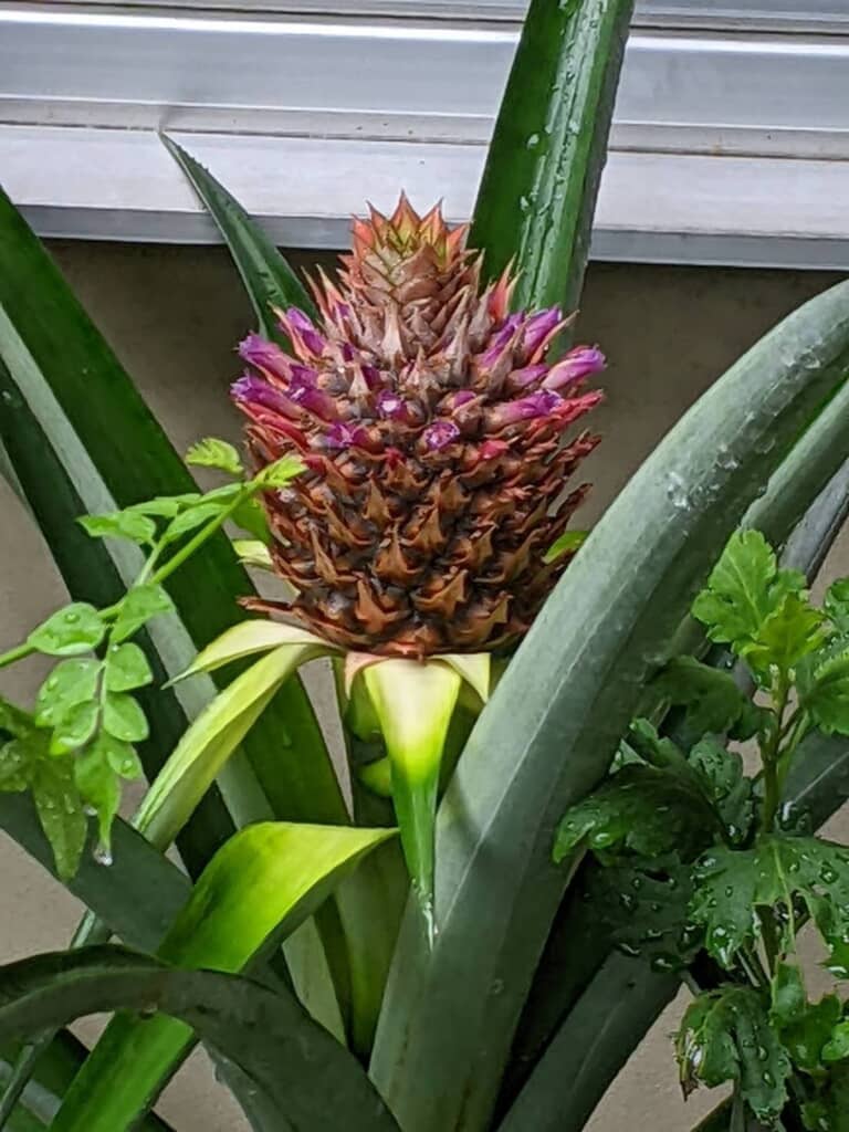 今後が楽しみですね