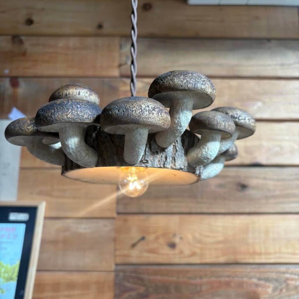 なんと原木椎茸のランプシェードも!