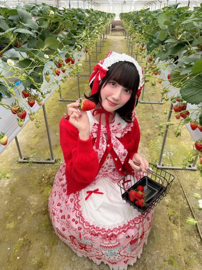 いちごに囲まれたLoliさん