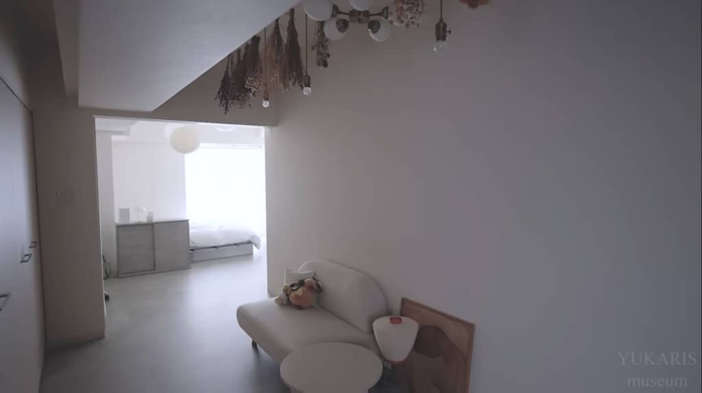 ソファの上に何かいる！