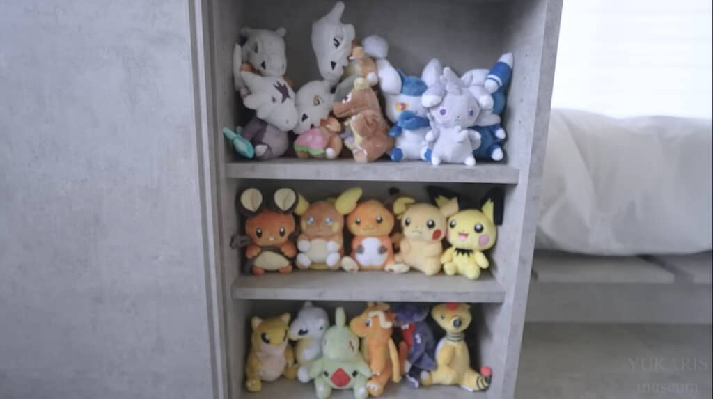 普段は見えないけど棚の扉を開けると50体のポケモンが隠れてます