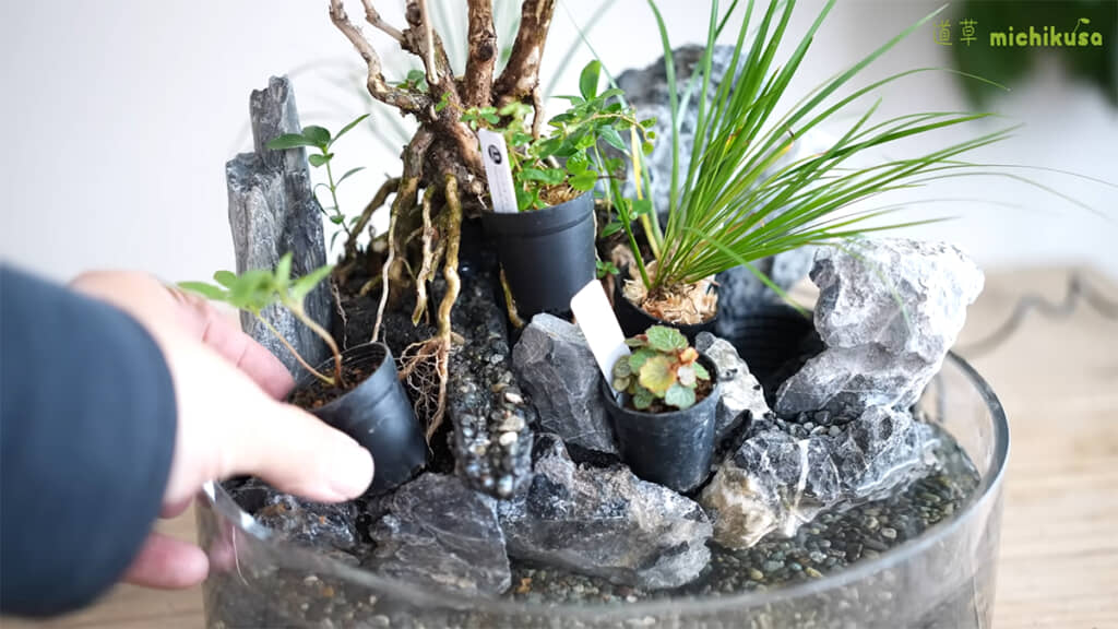 植物の配置を考えます