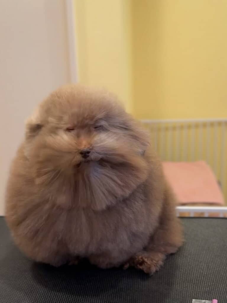 横からの風に吹かれている……