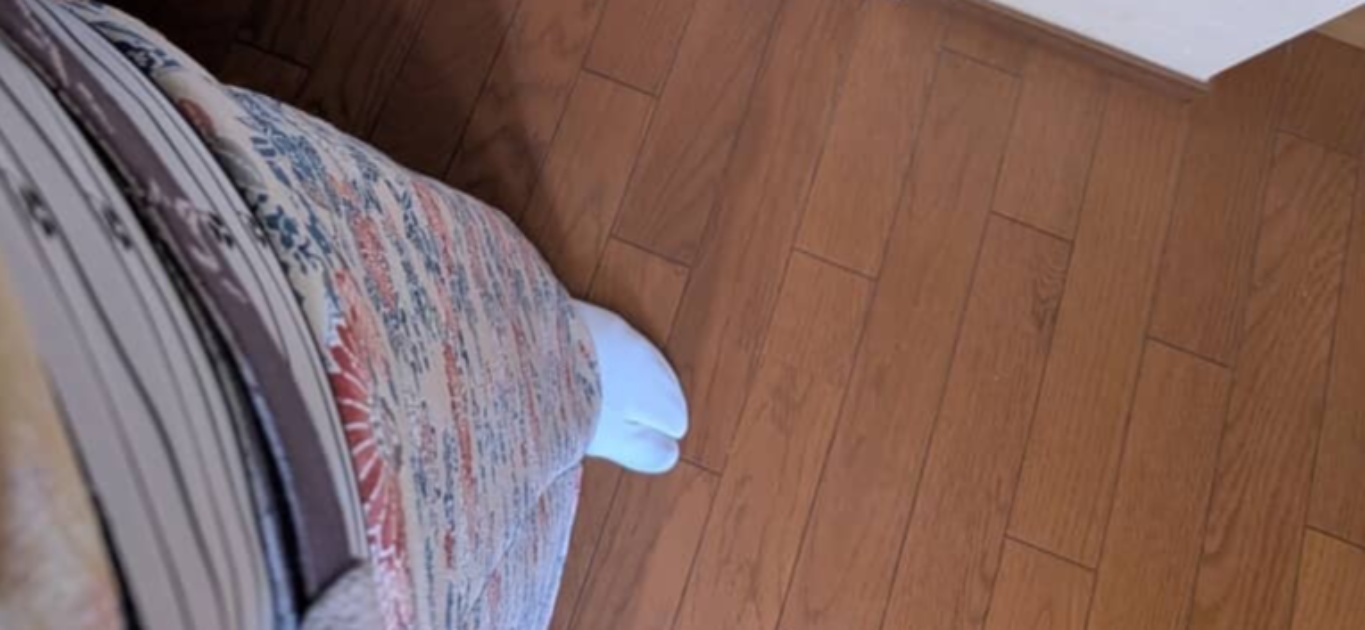 着物で出かけようとした女性→「着物の敵」に遭遇し悲鳴　“まさかの正体”に「ソイツは天敵です！」「私もやられました」（1/3） | ファッション ねとらぼ