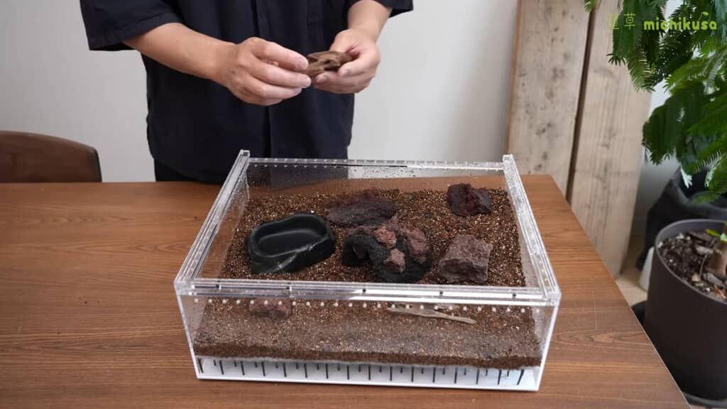 水入れやシェルター、溶岩石などの配置を決める