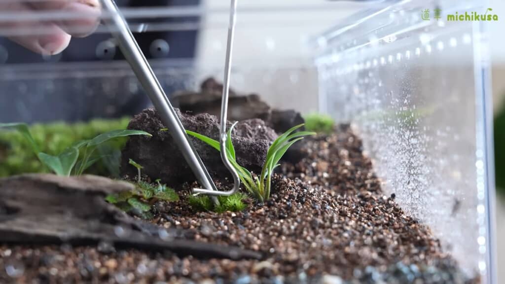 先に植え込んだ植物の株元へコケを植える様子