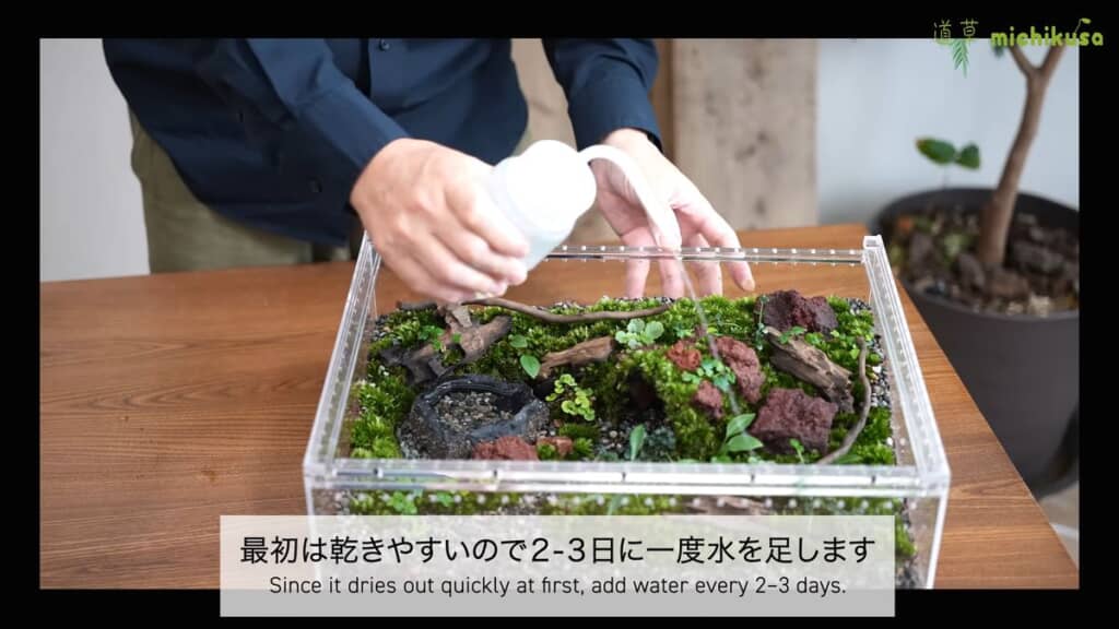 立ち上げ期間中のイモリウムに水をかける