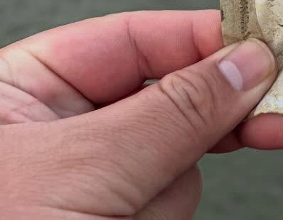 露出した湖底から出てきた、古い袋の正体は？