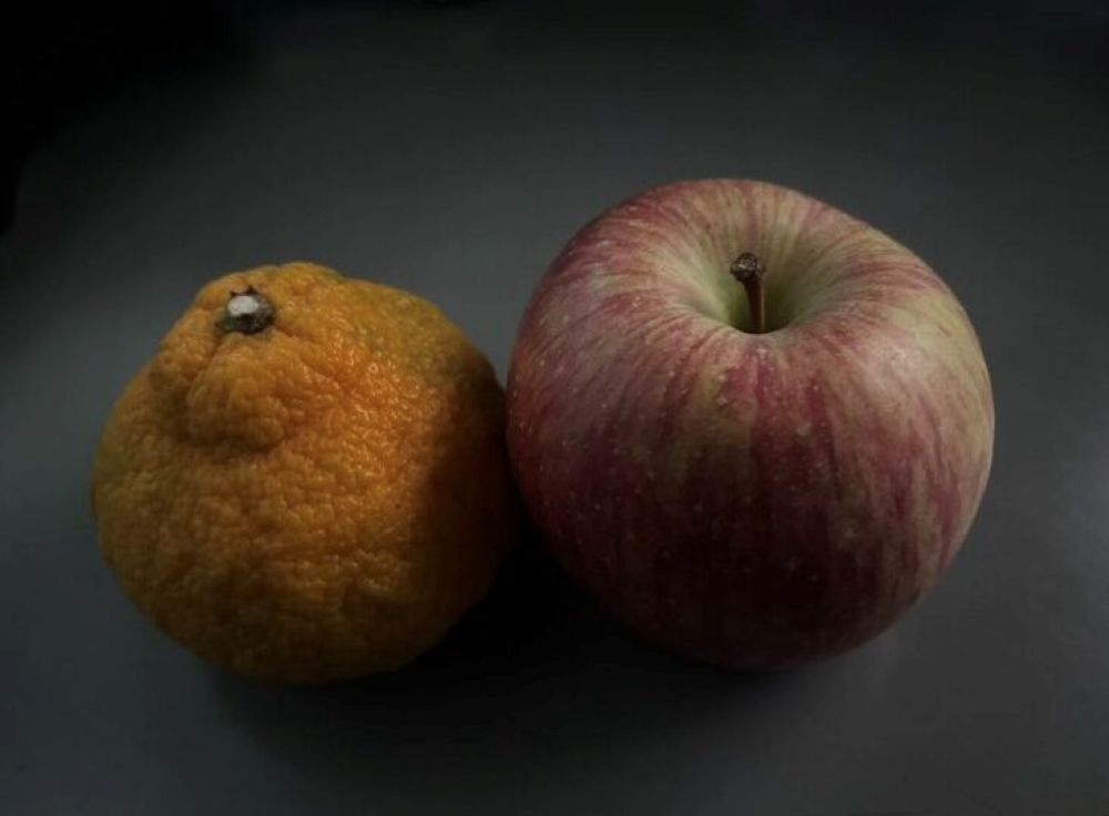 ノーマルカメラ、加工なしで撮影