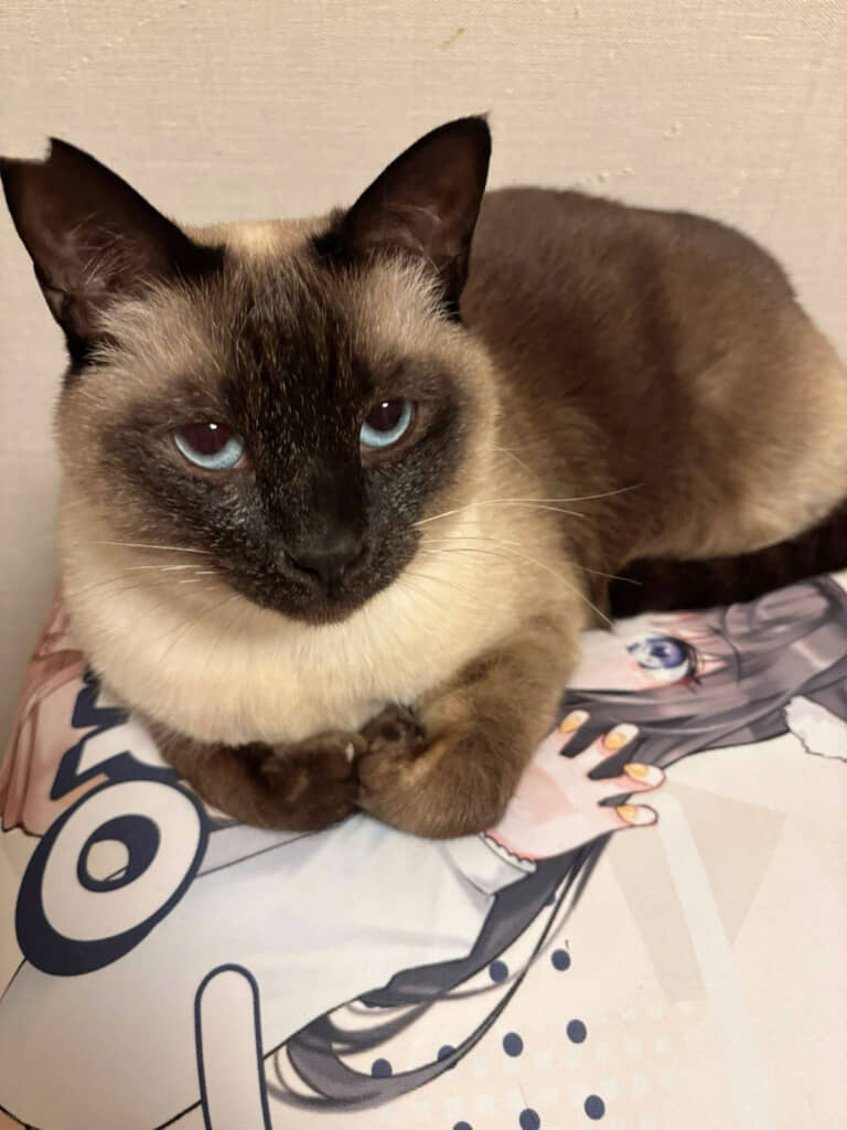 3年でこんがり焼き餅に