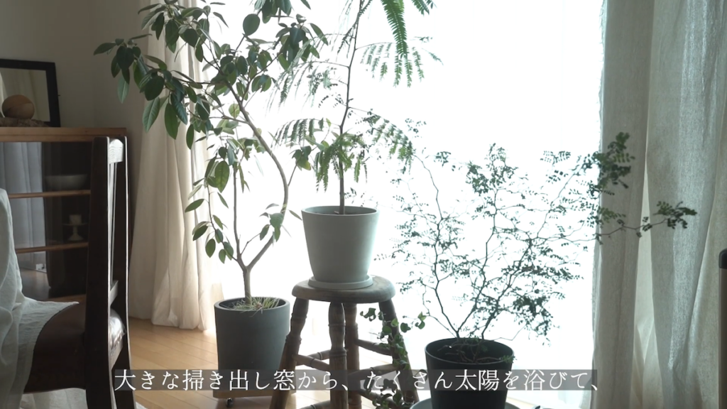 大きな掃き出し窓のそばには植物を配置
