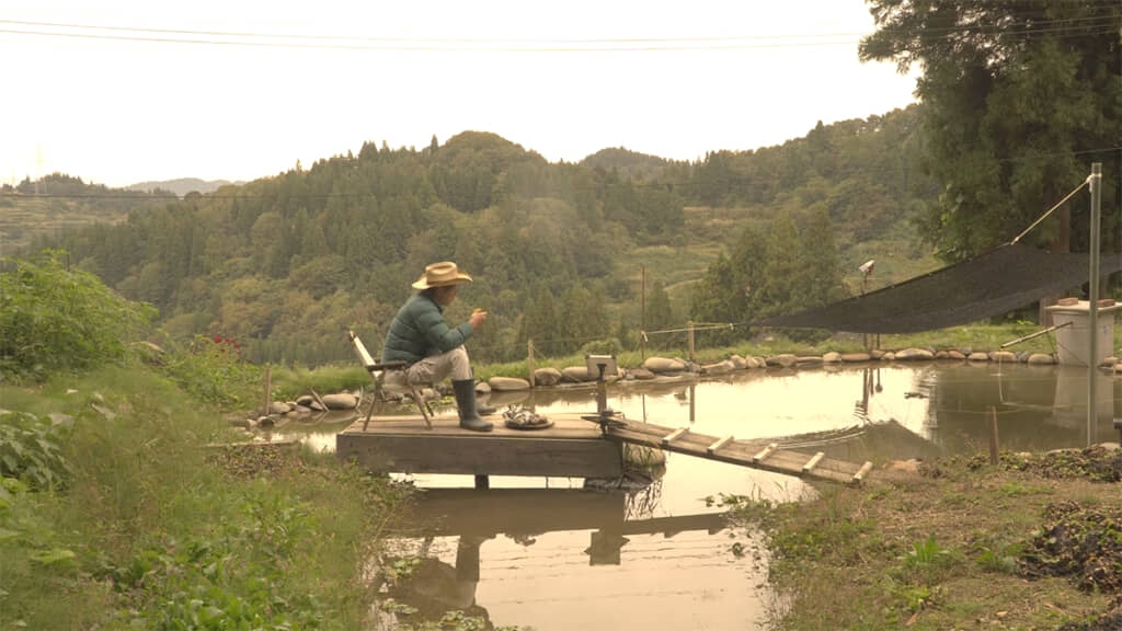 池を眺めつつ、自分で育てたサツマイモの焼き芋を堪能