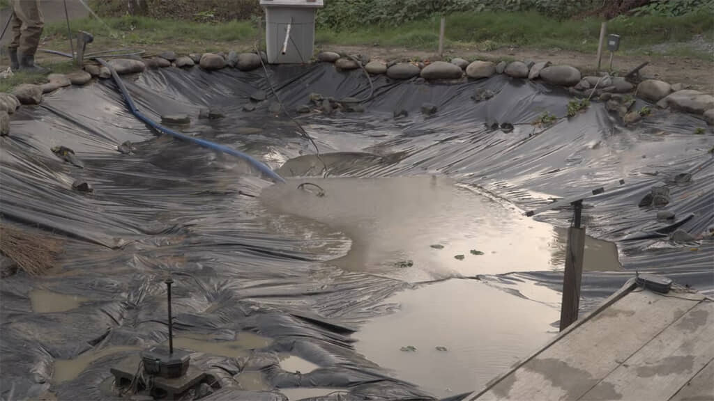 野池は水を抜き、泥を流します