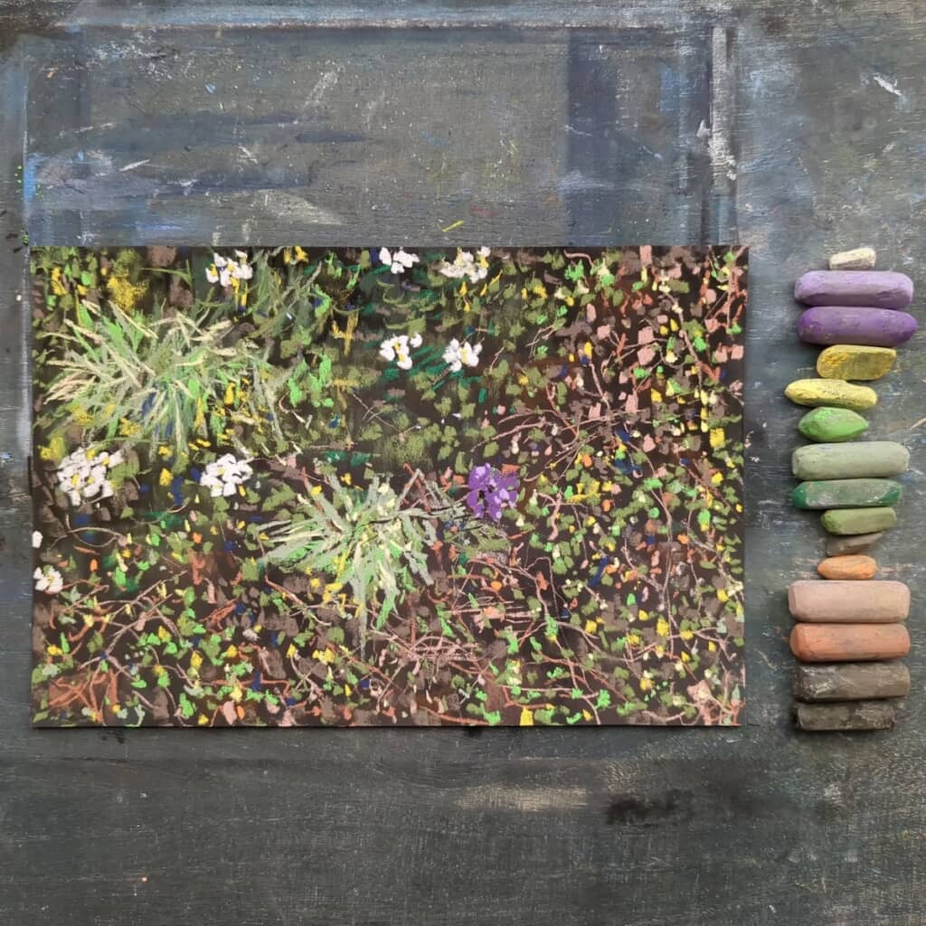 どこにでもありそうな雑草や花も、なんだか美しく見えてきます