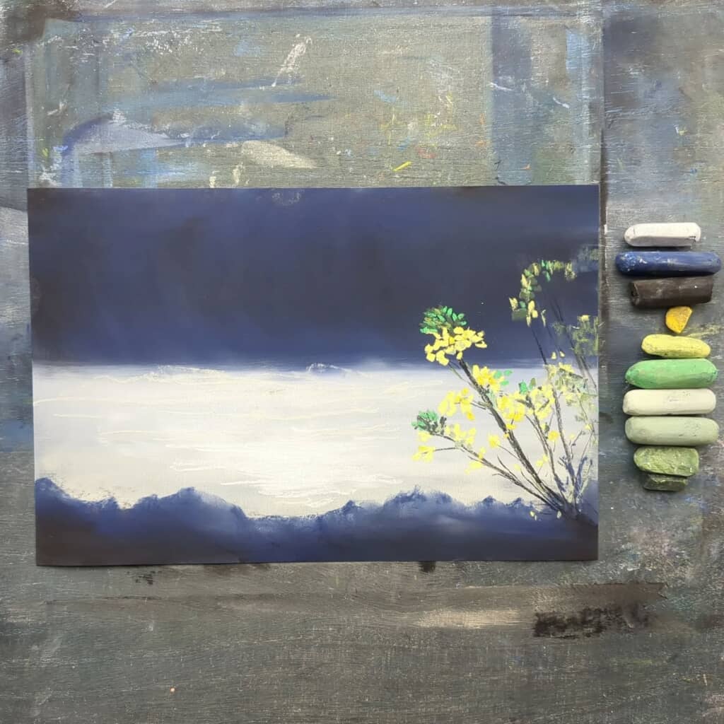 はっきりした白と黒の背景と、可憐な黄色い花の対比が鮮やか