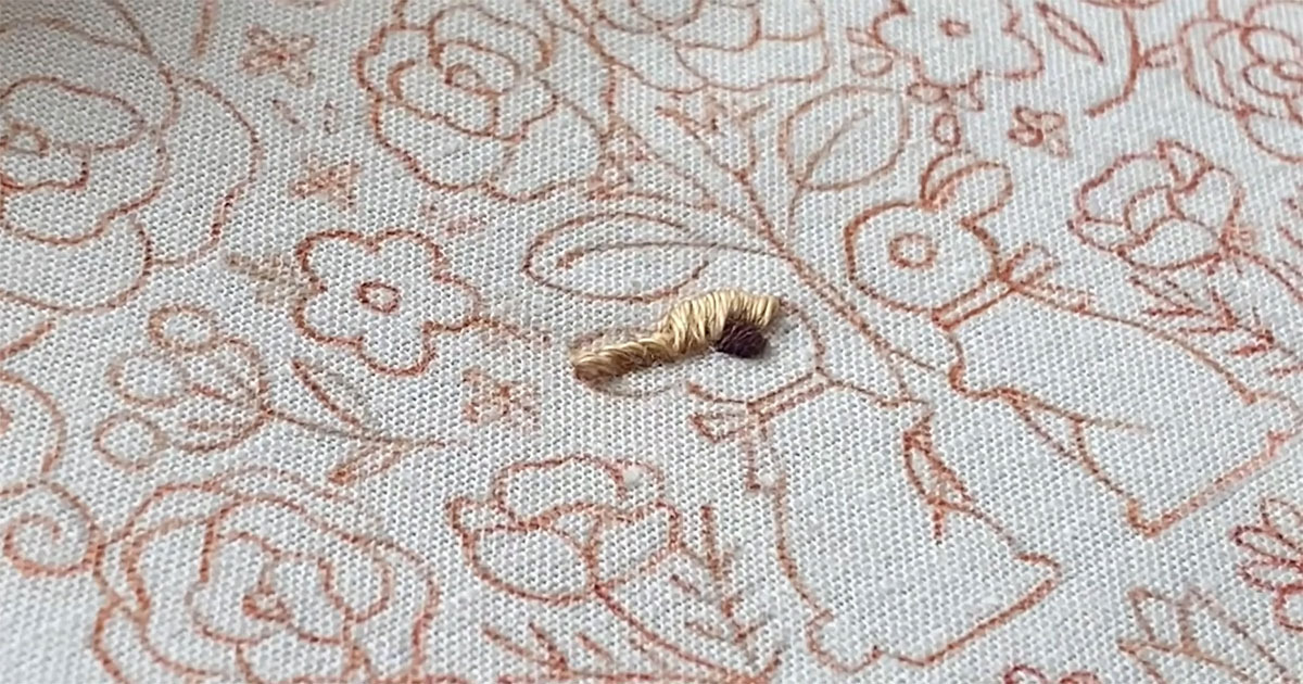 図案を描き、丁寧に刺しゅう→ダイソーの材料で完成した“驚きのアイテム”に「とてもかわいい」「始めてみたくなった」（1/3） | ハンドメイド ねとらぼ