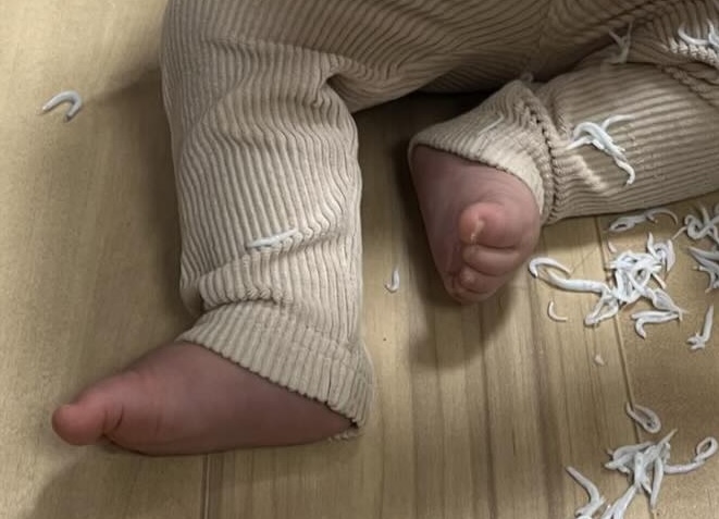 足元に散らばっている白いものは……