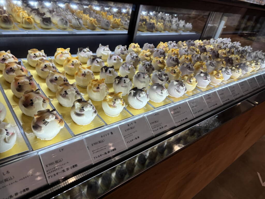 猫ちゃんだらけのショーケース！