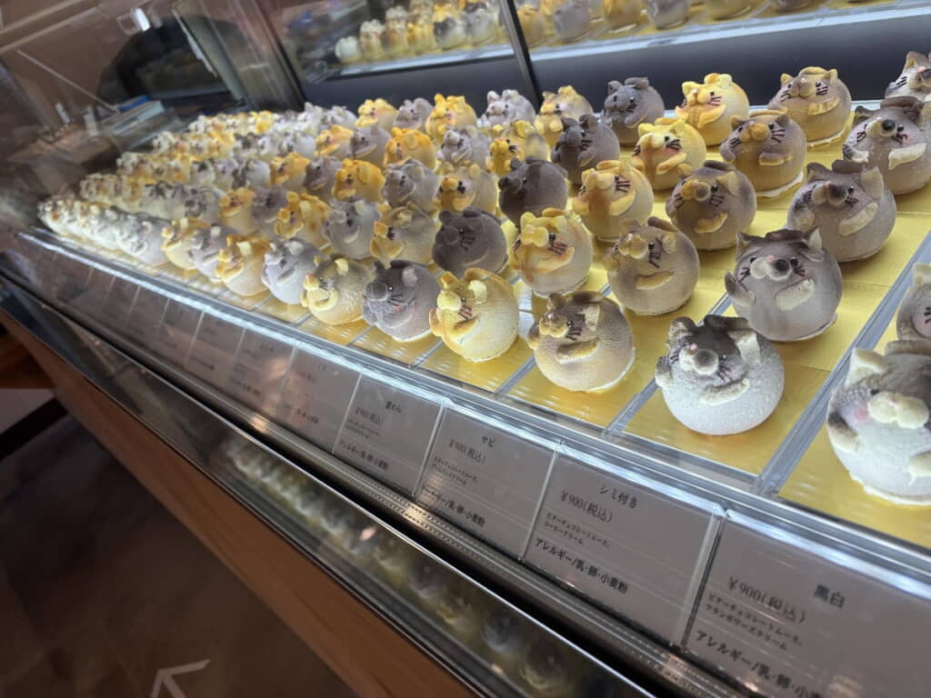 猫ちゃんがいっぱいです