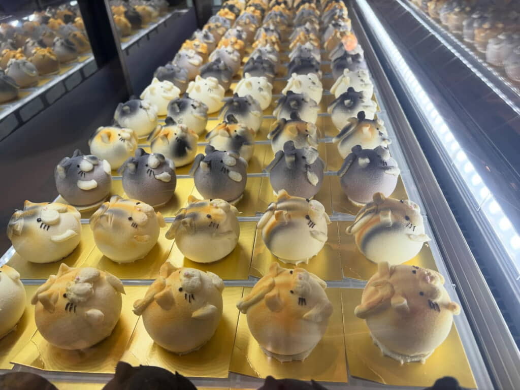 今年もバラエティー豊かな猫ちゃんたちがそろいました