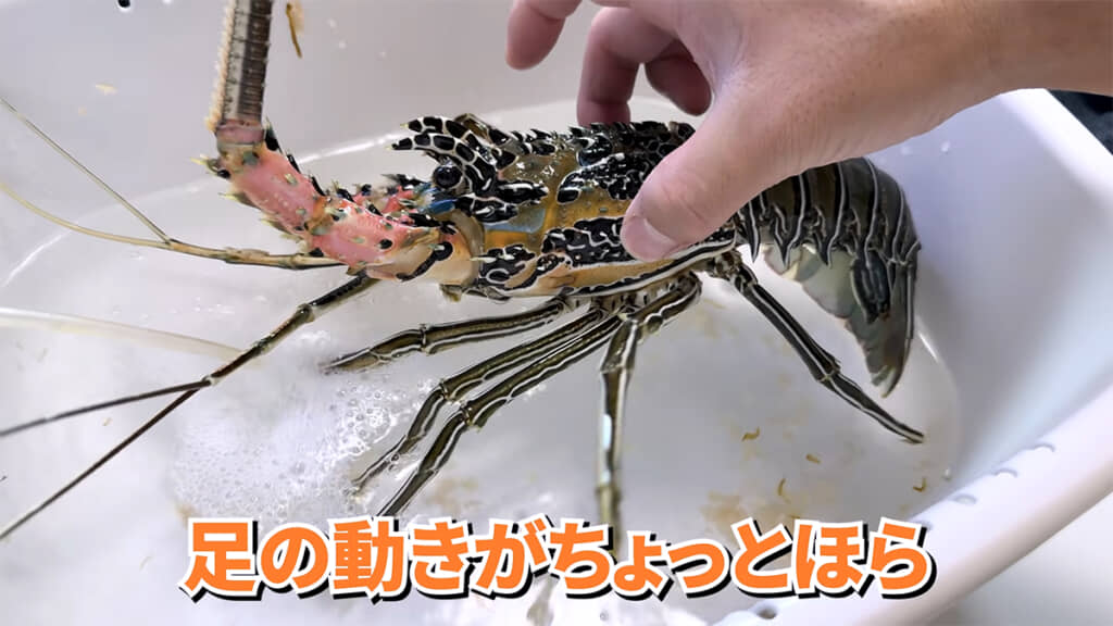 先程よりは足が動くようになって