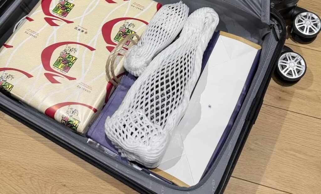 スーツケースに荷物を詰めていたら……